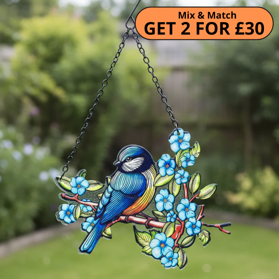 Get an EXTRA 10% OFF my Bestsellers with code 'BEST10'